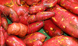 Patate douce rose