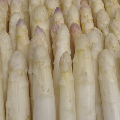 Asperges